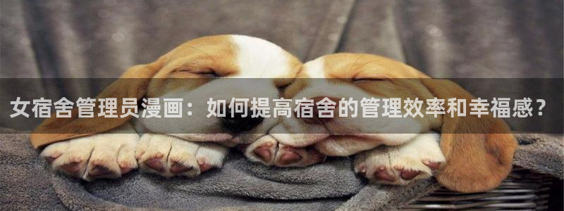 羞羞漫画在线观看版：女宿舍管理员漫画：如何提高宿舍的管理效率和幸福感？